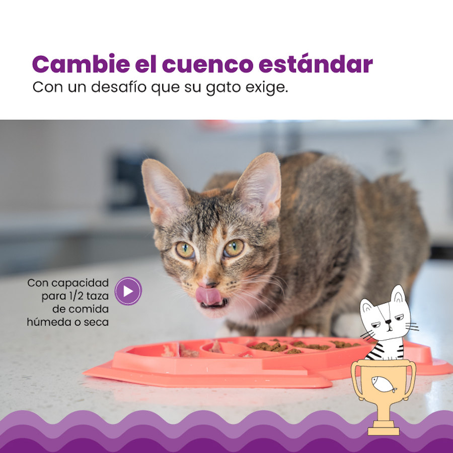 Brinquedo divertido Outward Hound Catstages Fishie, dispensador de ração em formato de peixe para gatos.