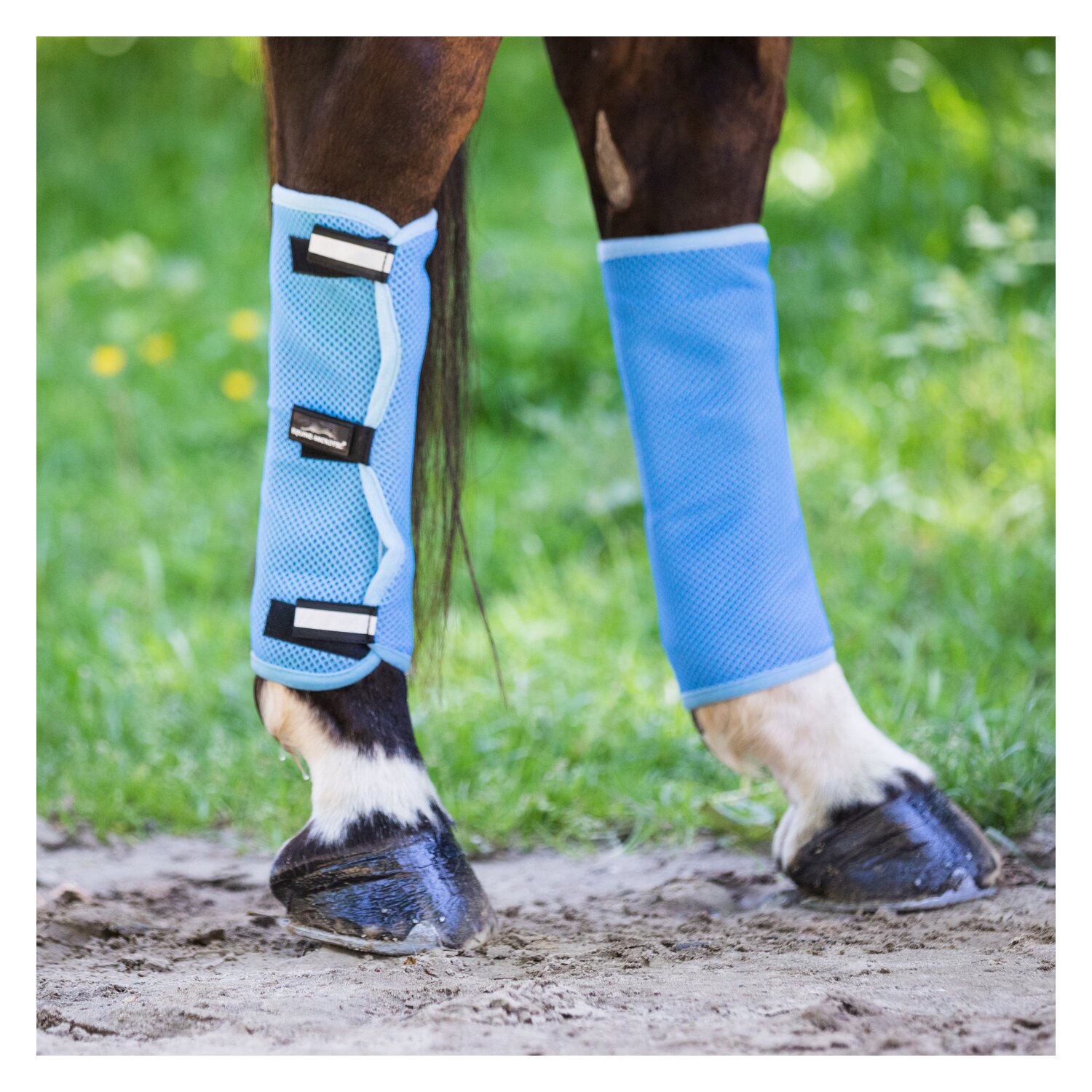 EQUINE MICROTEC Cooling Bandagen  - ice blue