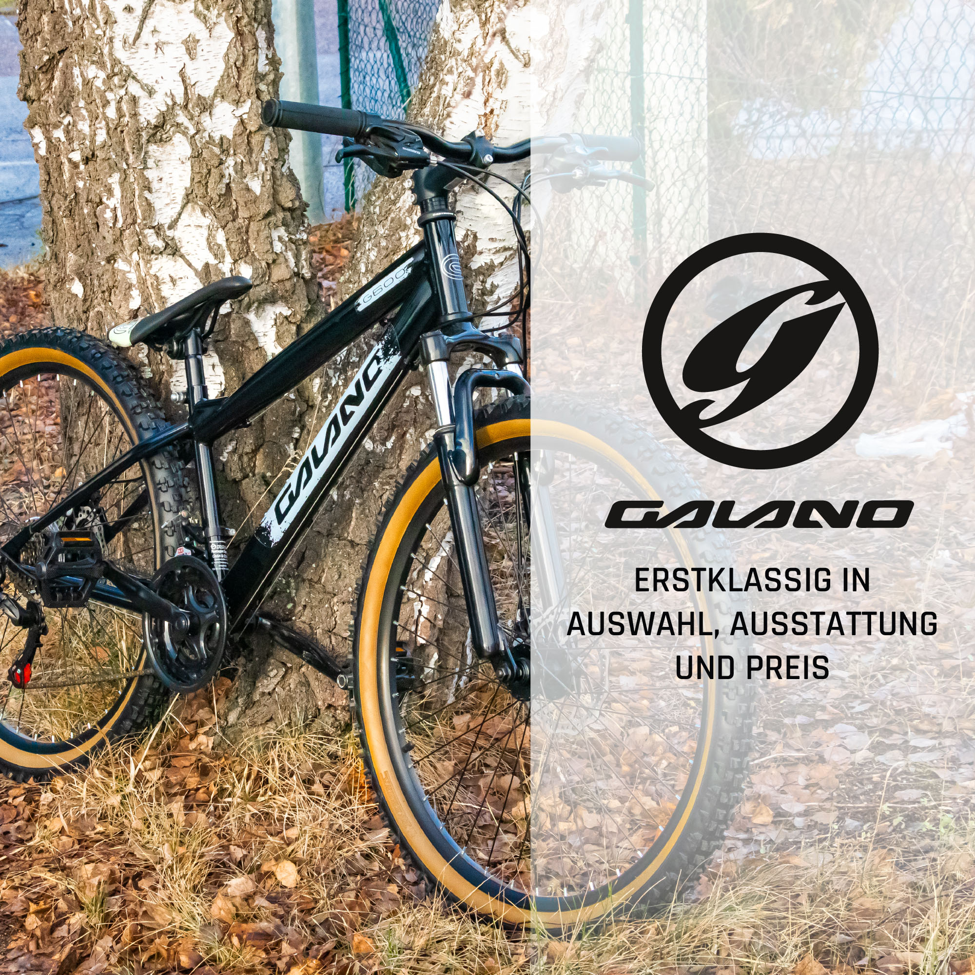 Galano Path Mountainbike 26 Zoll Jugendfahrrad ab 160 cm Fahrrad 21Gänge