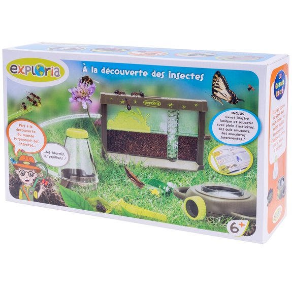 A la découverte des insectes