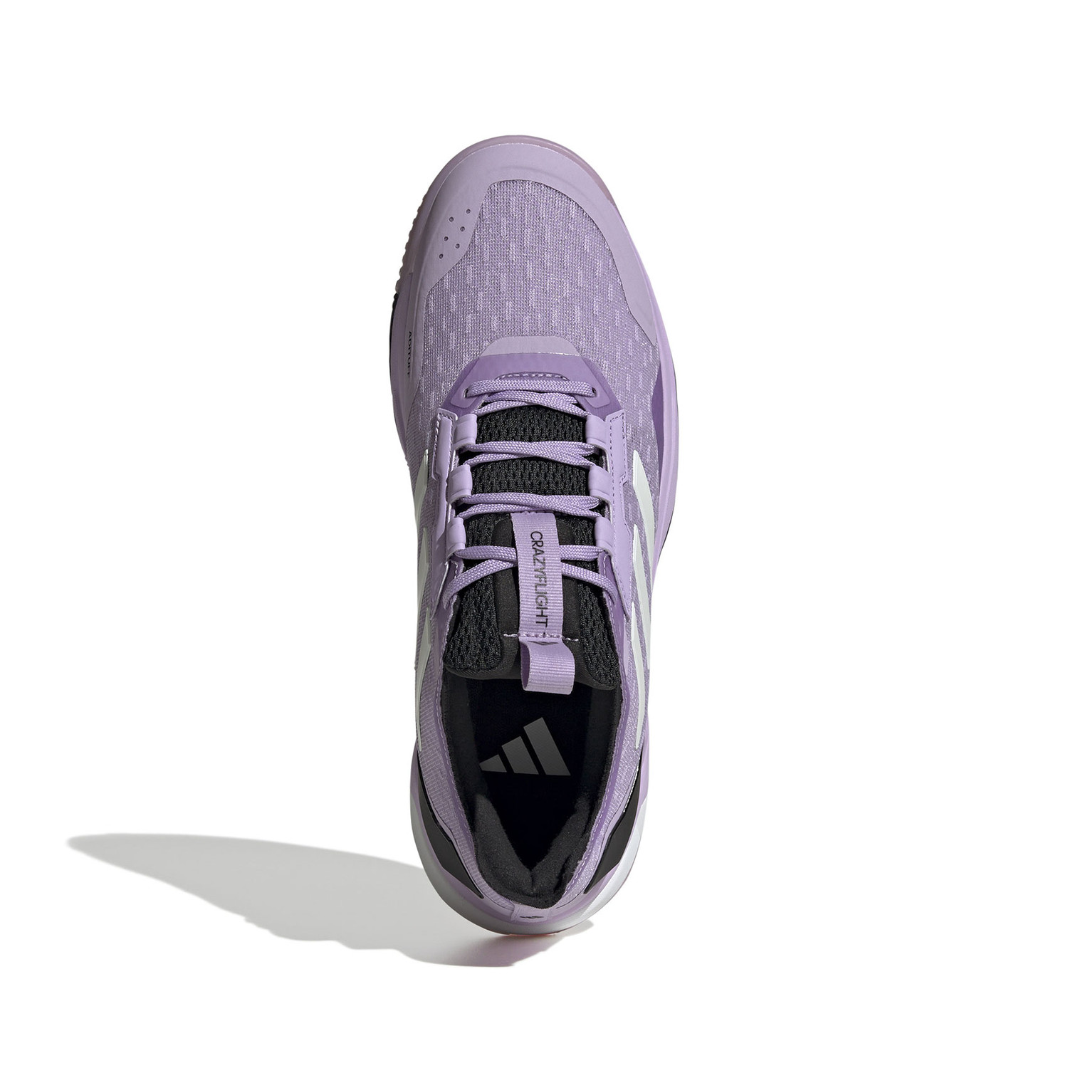 adidas Crazyflight 6 Dames