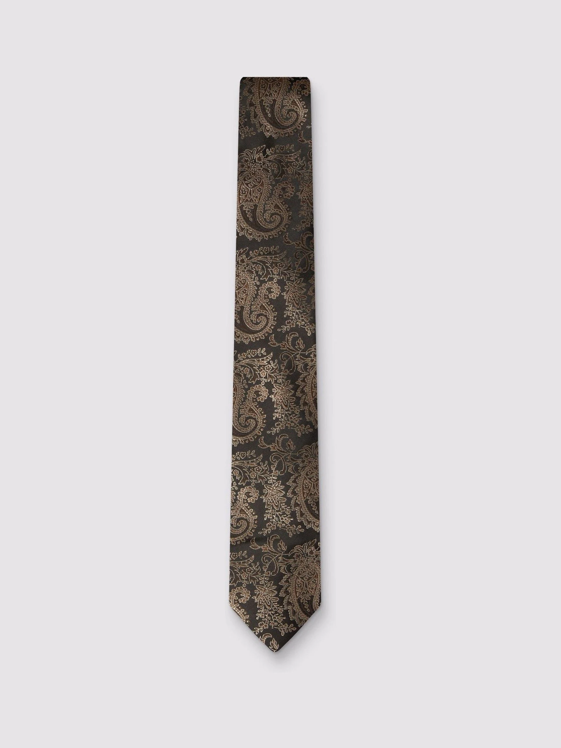 Antique Rogue Paisley Tie