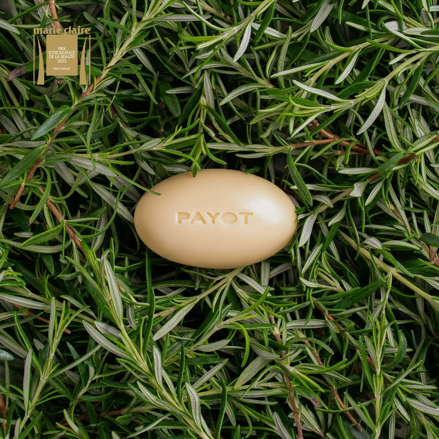 Payot - Barre de massage nourrissante visage et corpsHuile essentielle de romarin- carousel Herbier