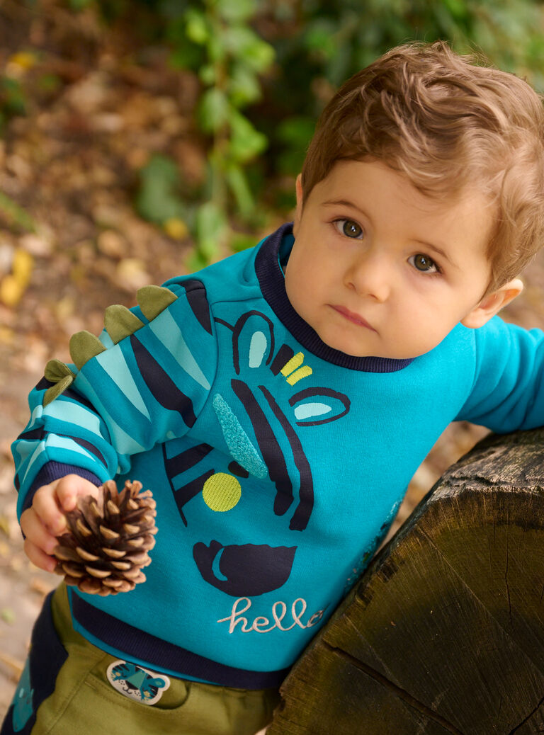 Sweat bleu à motifs zèbre et tigre pour bébé garçon