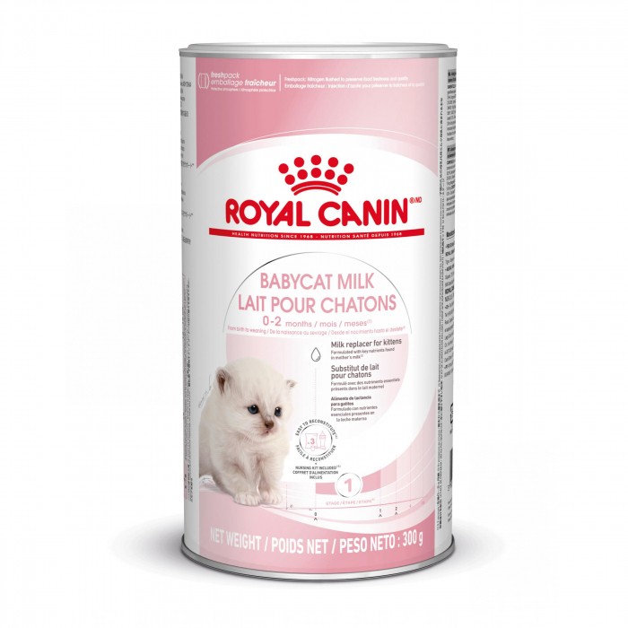 ROYAL CANIN Babycat Milk - Lait maternisé pour chaton