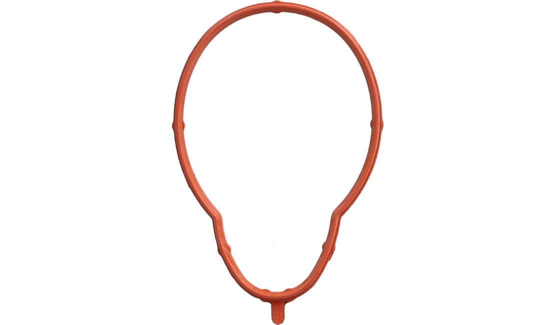 Pakning, indsugningsmanifold