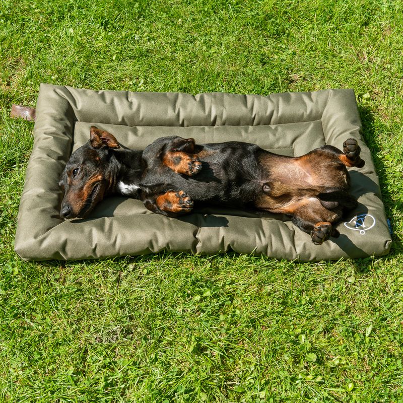 Coussin Nomad Tales Spirit Outdoor Pine