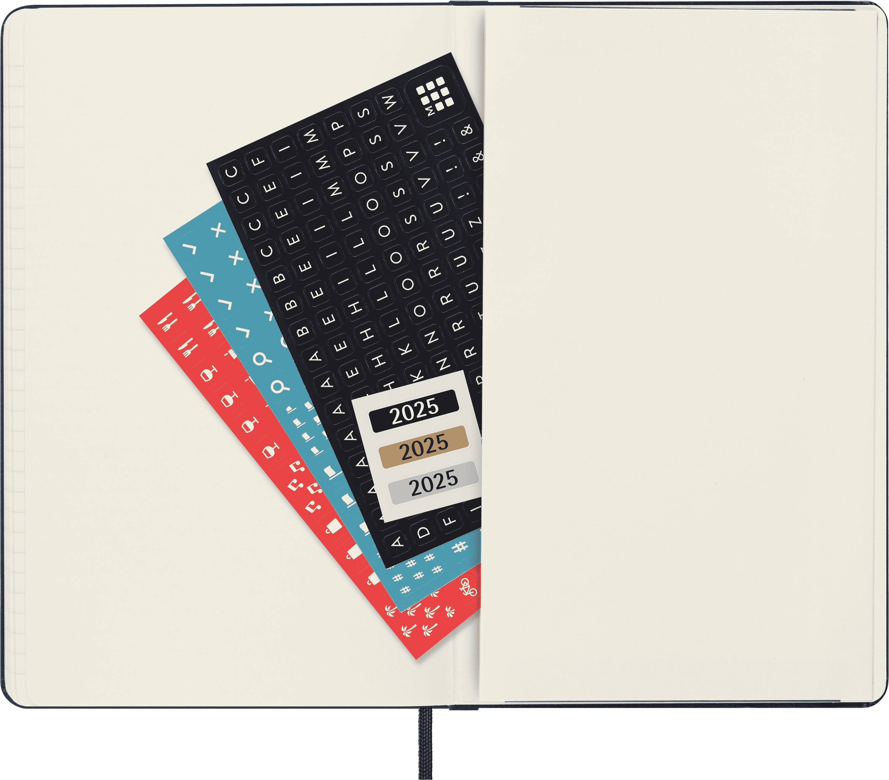 Classic Planner 2025 Large Daily, hard cover, 12 months