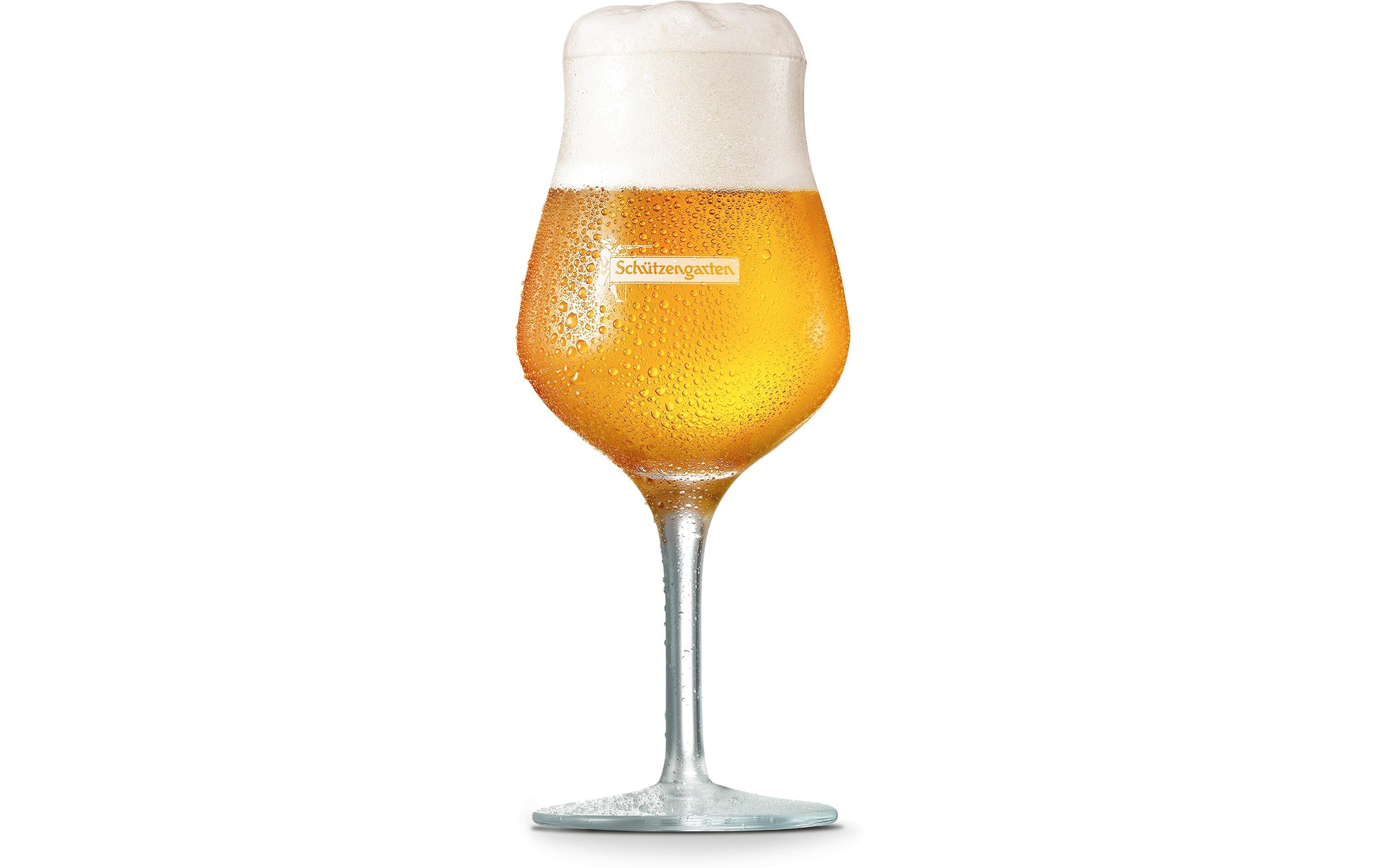 Bier IPA 6 x 0.33 lIndia Pale Ale aus der Schweiz