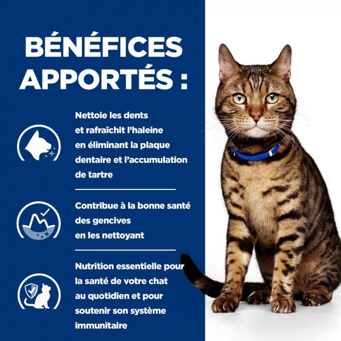 HILL'S Prescription Diet t/d Dental Care au Poulet - Croquettes pour chat