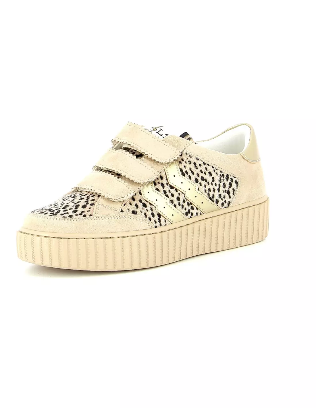 CL11 CL53 - Baskets Leopard