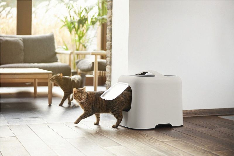 Rotho Mypet Kattenbak Biala 51 x 39.5 x 44.3 cm - Kattentoilet - Beige & Antraciet