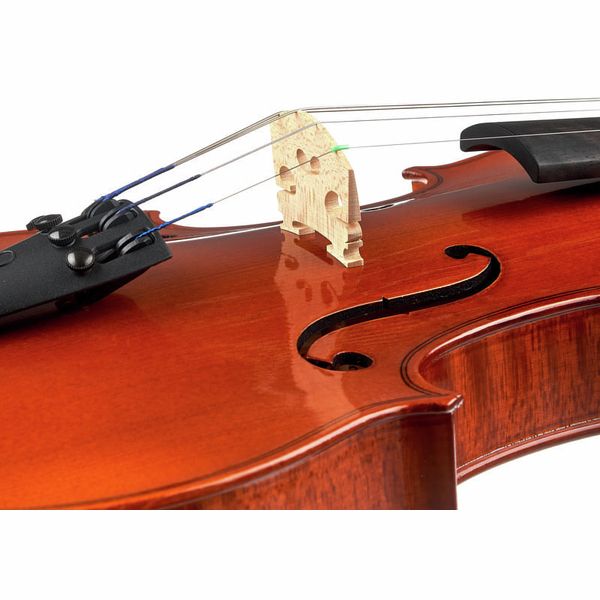 Karl Höfner Allegretto 4/4 Violin Outfit