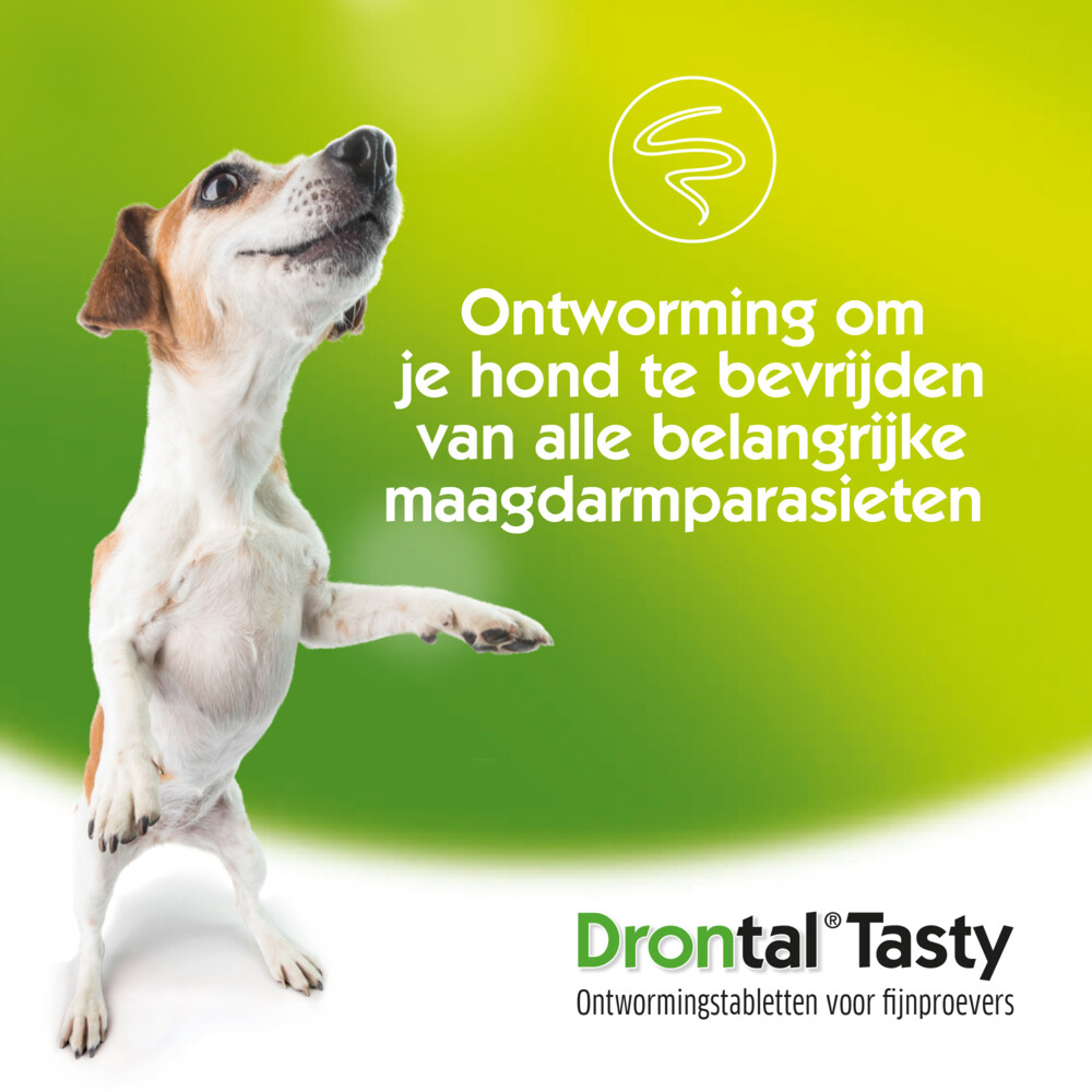 Drontal Dog Tasty Ontworming Tabletten vanaf 10kg2 tabletten
