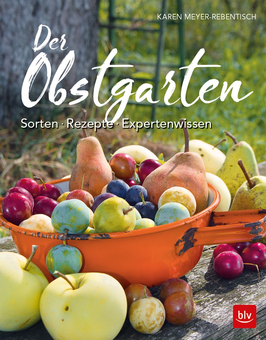 Buch 'Der Obstgarten', Sorten – Rezepte – Expertenwissen günstig bestellen