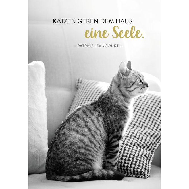 Taschenkalender 2025 - Katzenfreunde