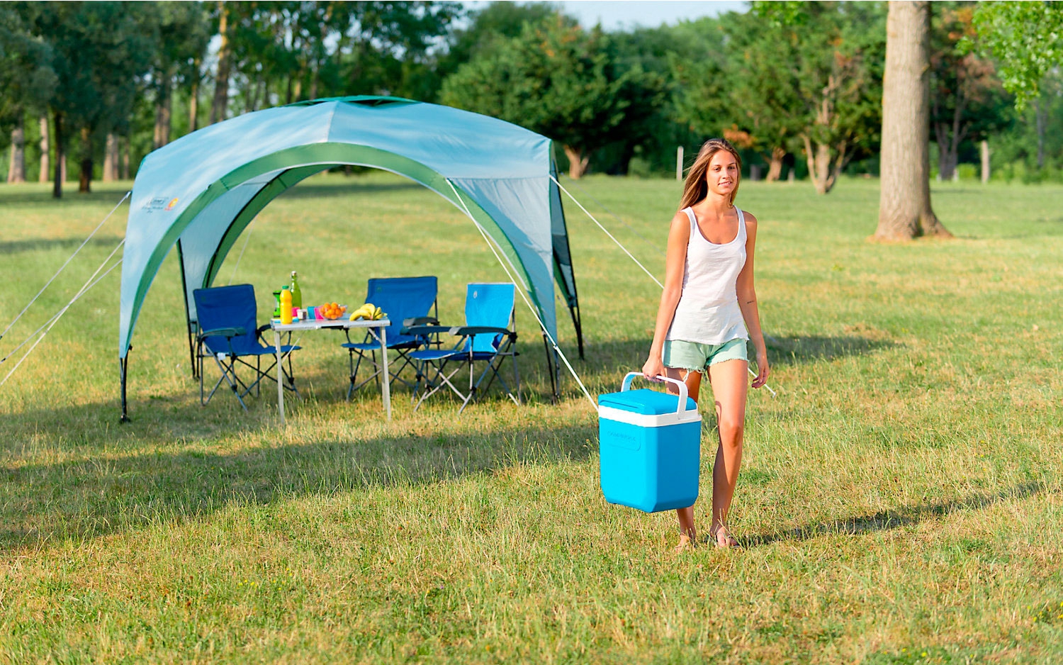 Campingaz Icetime® Plus Kühlbox - 30 Liter