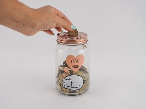 Cofrinho O gato na água transparente