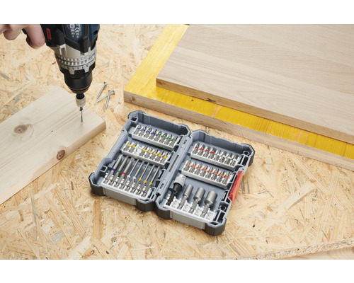 Bosch Schroevendraaier Bitset 45-delig