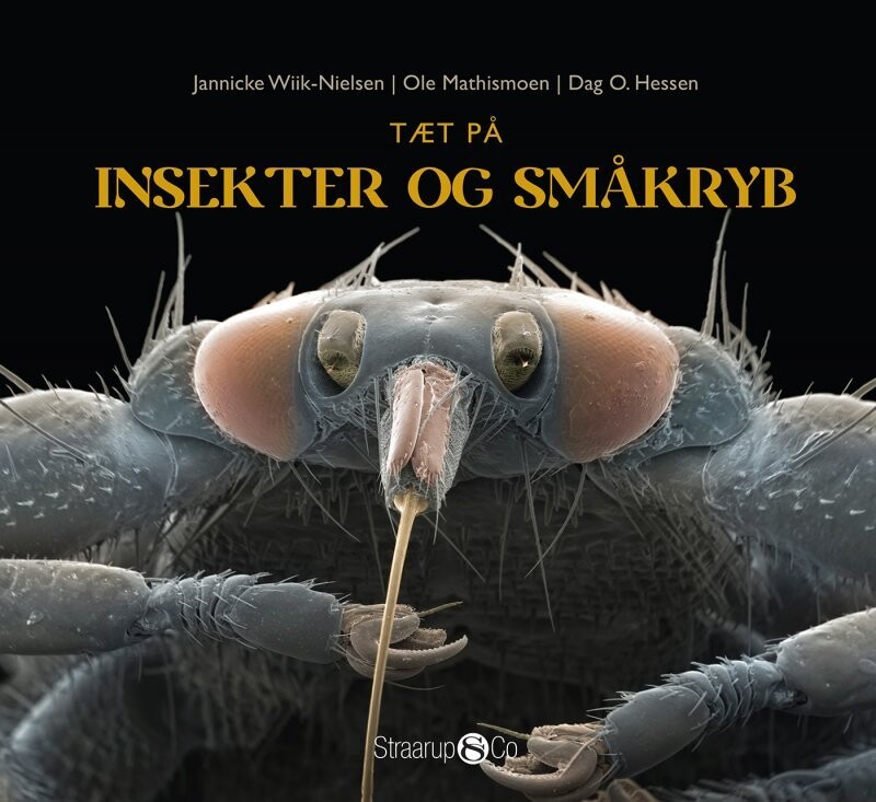 Tæt På Insekter Og Småkryb - Dag O. Hessen - Bog
