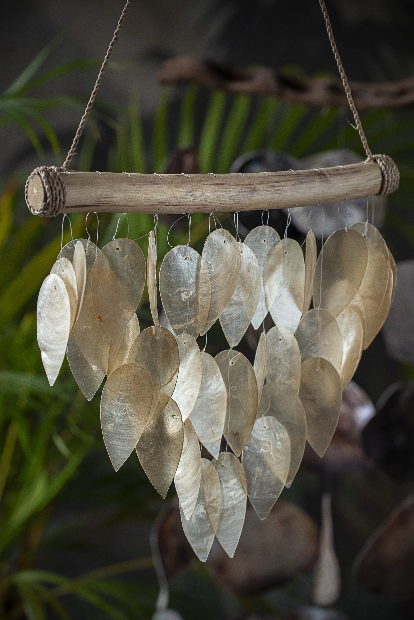 Muschel-Windspiel natur, B 30 cm, H 25 cm, L 4 cm günstig bestellen