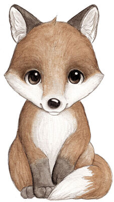 Stickstay Flurry The Fox Veggklistremerke