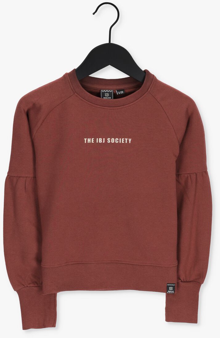 INDIAN BLUE JEANS roest indian blue jeans trui crewneck wild society
