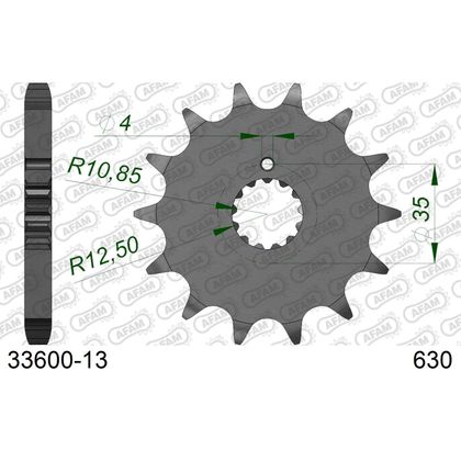 Kit chaine AFAM 630 Type Acier