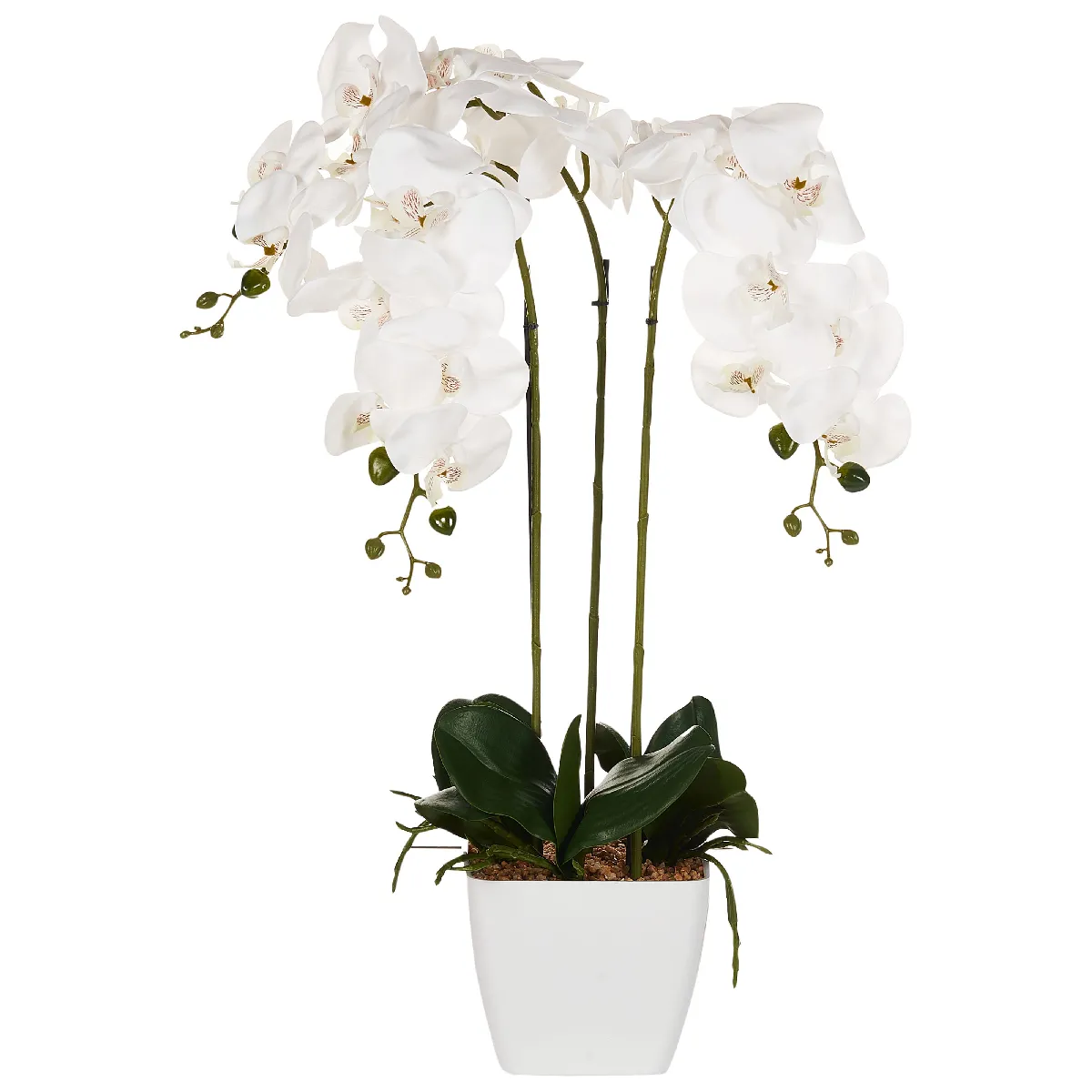 BELIANI ORCHID 59 cm Blanc