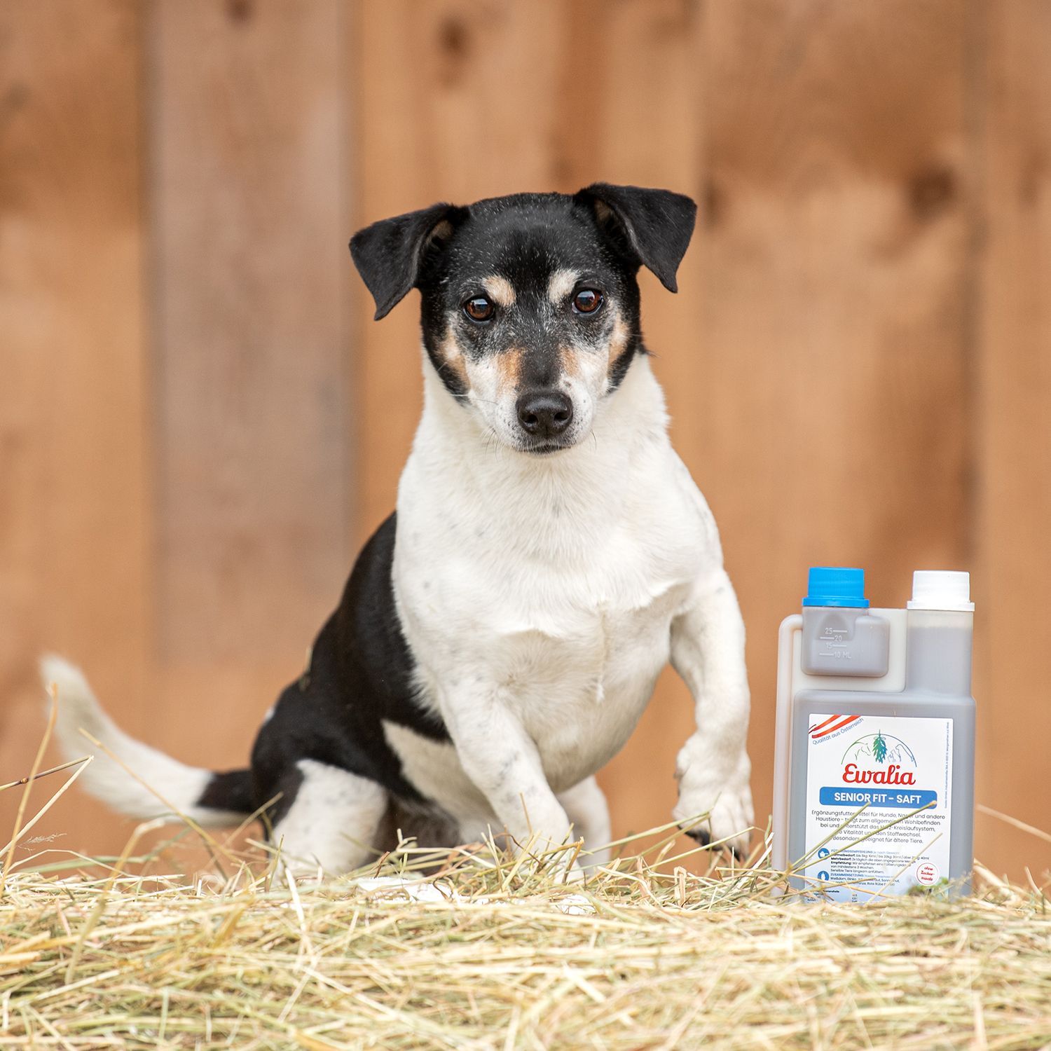 EWALIA Senior Fit - Saft