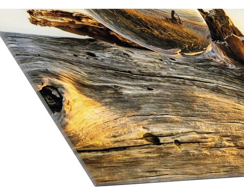Glasschilderij Druppel Op Hout 20x20 cm GLA1908