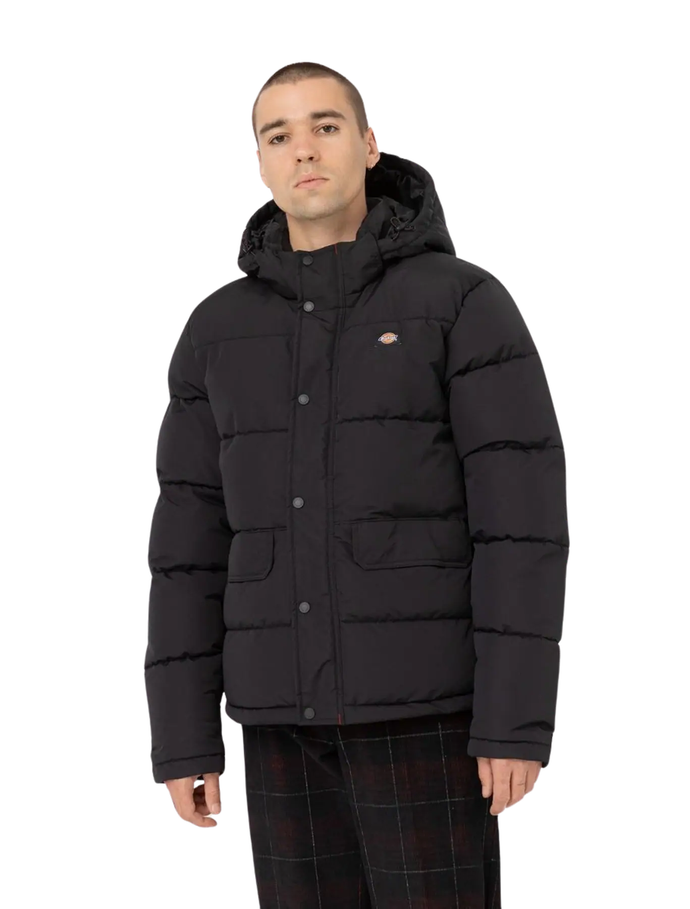 Dickies Glacier View Puffer Jakke | SkatePro