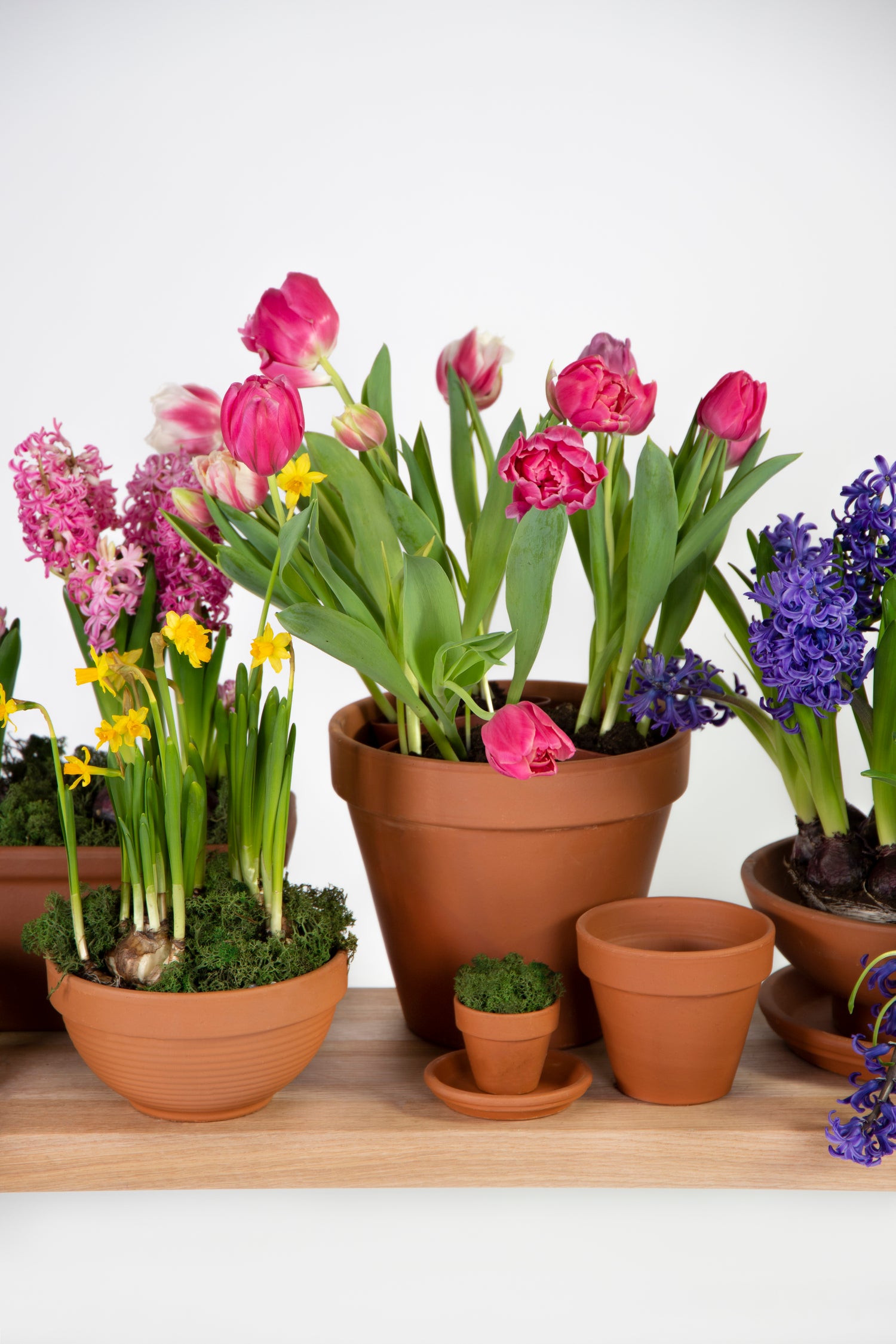 Mega Collections bloempot Sparta bruin D 7 H 6 cm