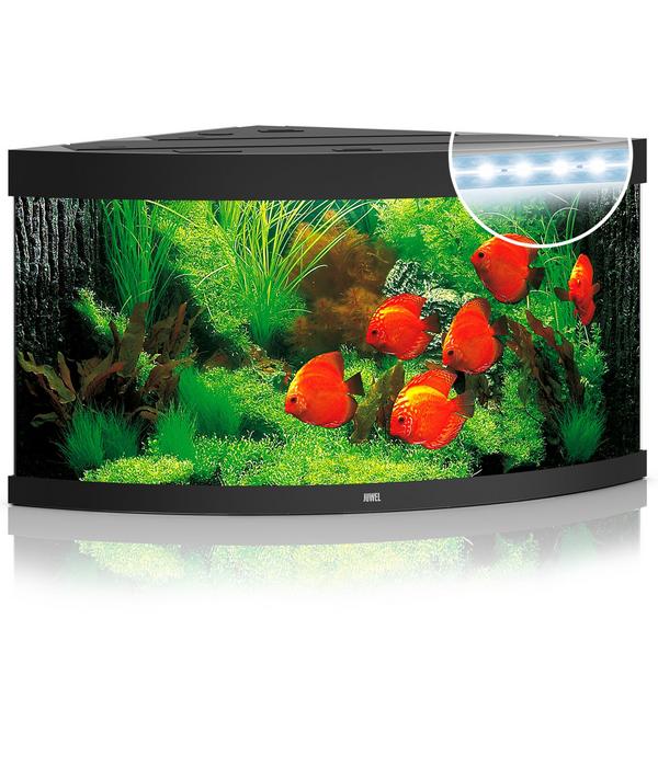 JUWEL® AQUARIUM Trigon 350 LED