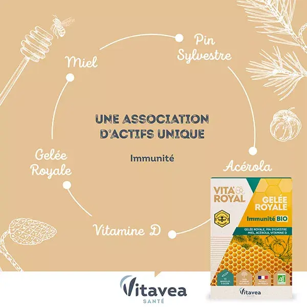 Vitavea Vita'Royal Geleia Real Orgânica Imunidade 10 ampolas