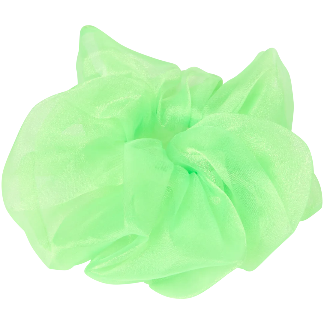 Carnaval accessoires Diverse varianten