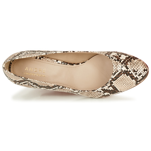 André - POMARA 2 - Beige