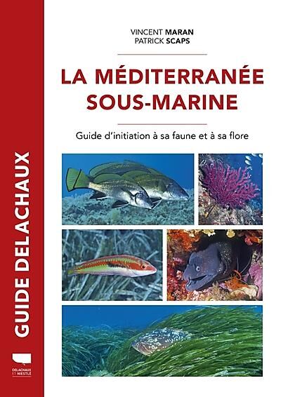DELACHAUX  NIESTLE - LA MEDITERRANEE SOUS-MARINE