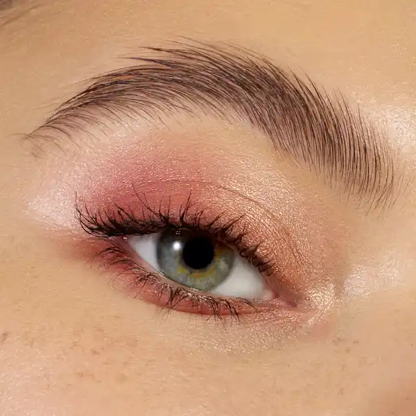 Soft Touch Duo Eyeshadow 01 Bronze Beauty