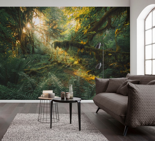 Komar Fototapete »Digitaldruck Vlies -  Hall of Mosses - Grösse 400 x 250 cm« bedruckt glatt Wohnzimmer, Schlafzimmer