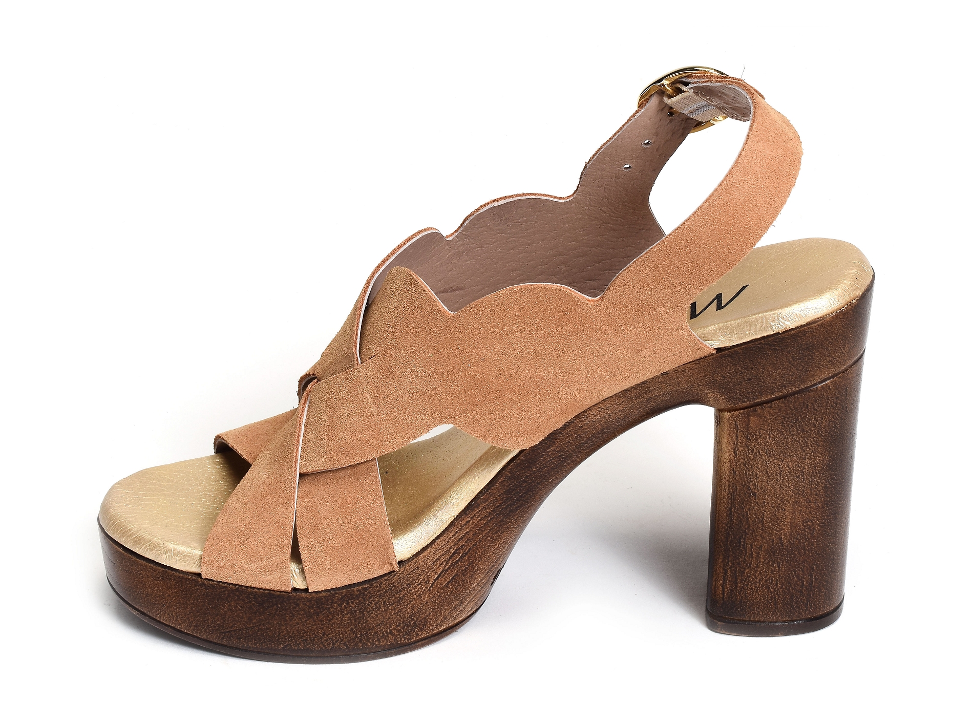 6579 camel