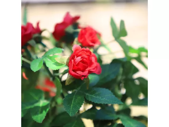 Rosier plante fleur artificielle extérieur cimetière tissu rouge 23cm