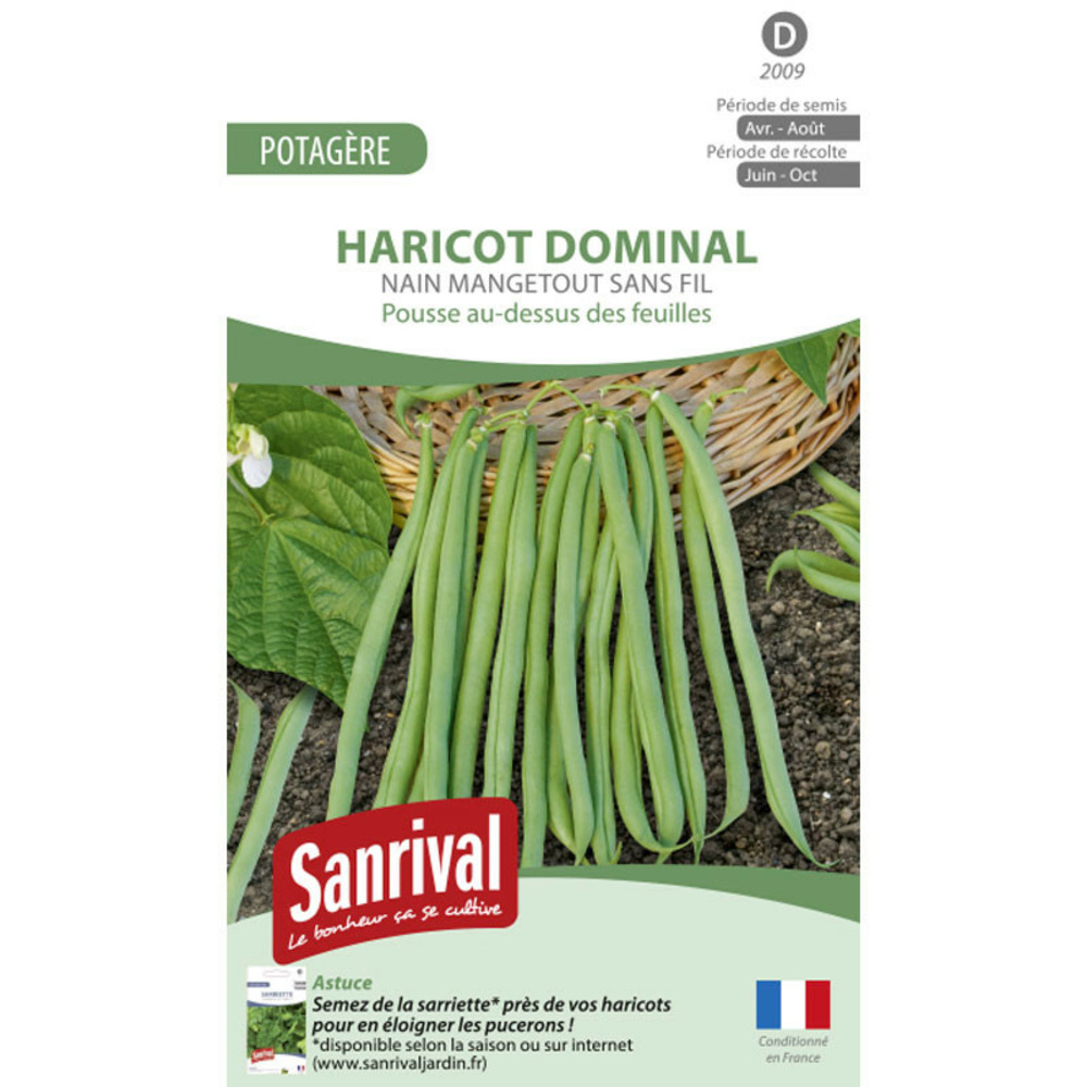 Graines haricot sansoucy mangetout sans fil