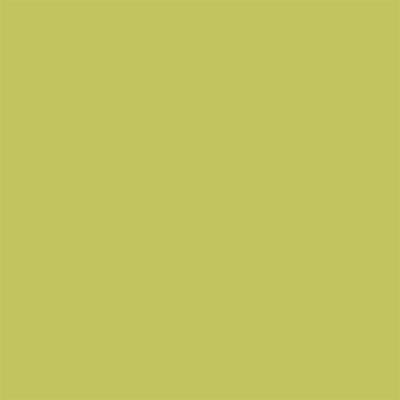 Peinture extérieure multi supports e garantie 8 ans Dulux Valentine satin vert anis 0,5L