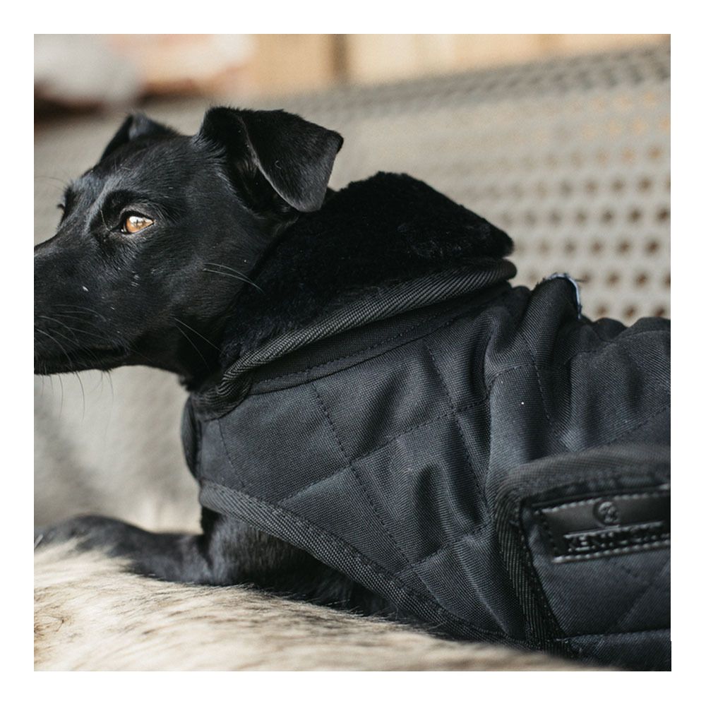 Kentucky ORIGINAL 160G - Couverture pour chien black/black