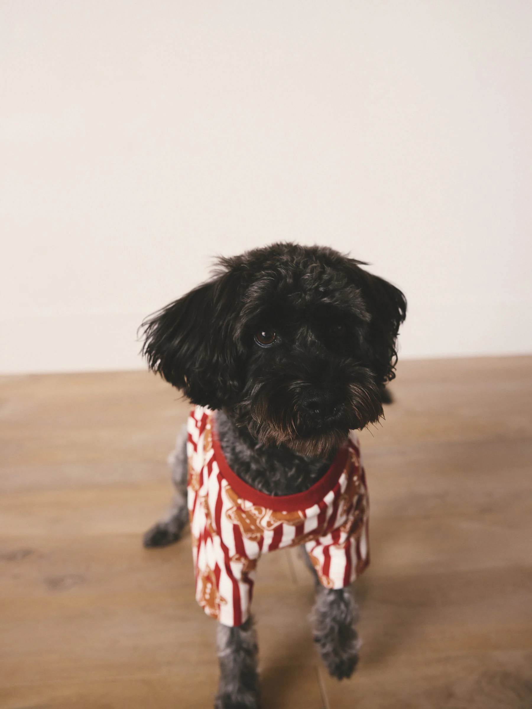Rood met peperkoekenmannetje - Matching Family - Behaaglijke kerstpyjama voor huisdieren