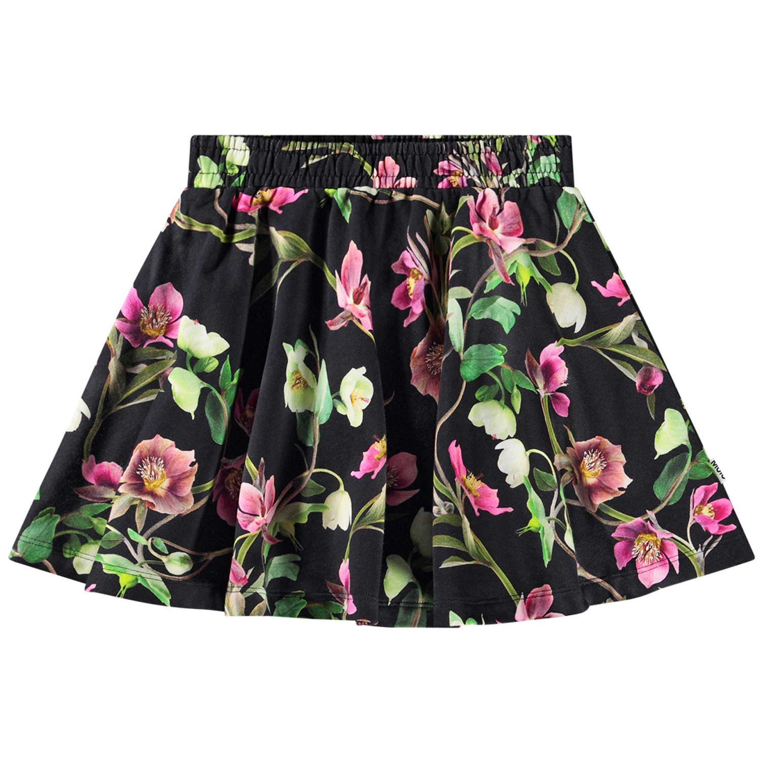 Barbera - Hellebore Black