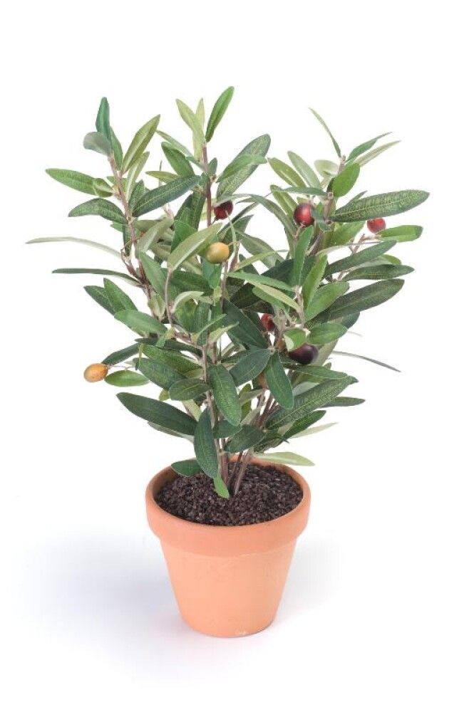 KUNSTIG PLANTE OLIVEN I POTTE 11CM
