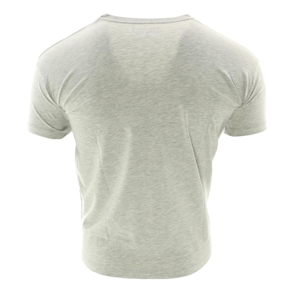 Vintage Tee T-shirt Gris Homme Vintage Tee Polaroid