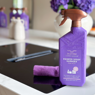 Bruynzeel Cosmetic Homecare Keukenreinigerspray Fresh Wood 500ML
